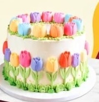 Tulip buttercream cake